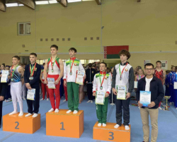 -5217525090524794199_121