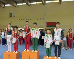 -5217525090524794201_121