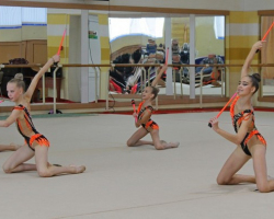 chempionat-grodnenskoy-oblasti-po-gimnastike-khudozhestvennoy-1